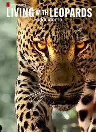 《豹崽同行》影评：一场关于成长与陪伴的治愈之旅，萌翻你的心！