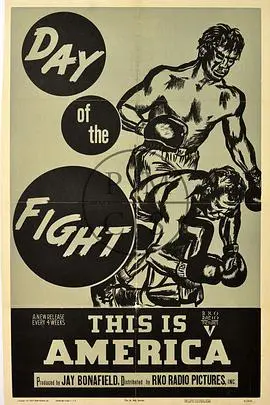 《拳赛之日》影评：热血格斗背后的救赎之路，暴力美学与人性挣扎！