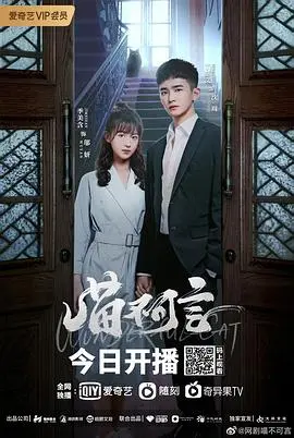 《喵不可言》：猫咪视角下的黑暗人性探秘，一部让你心惊又感动的奇幻之旅